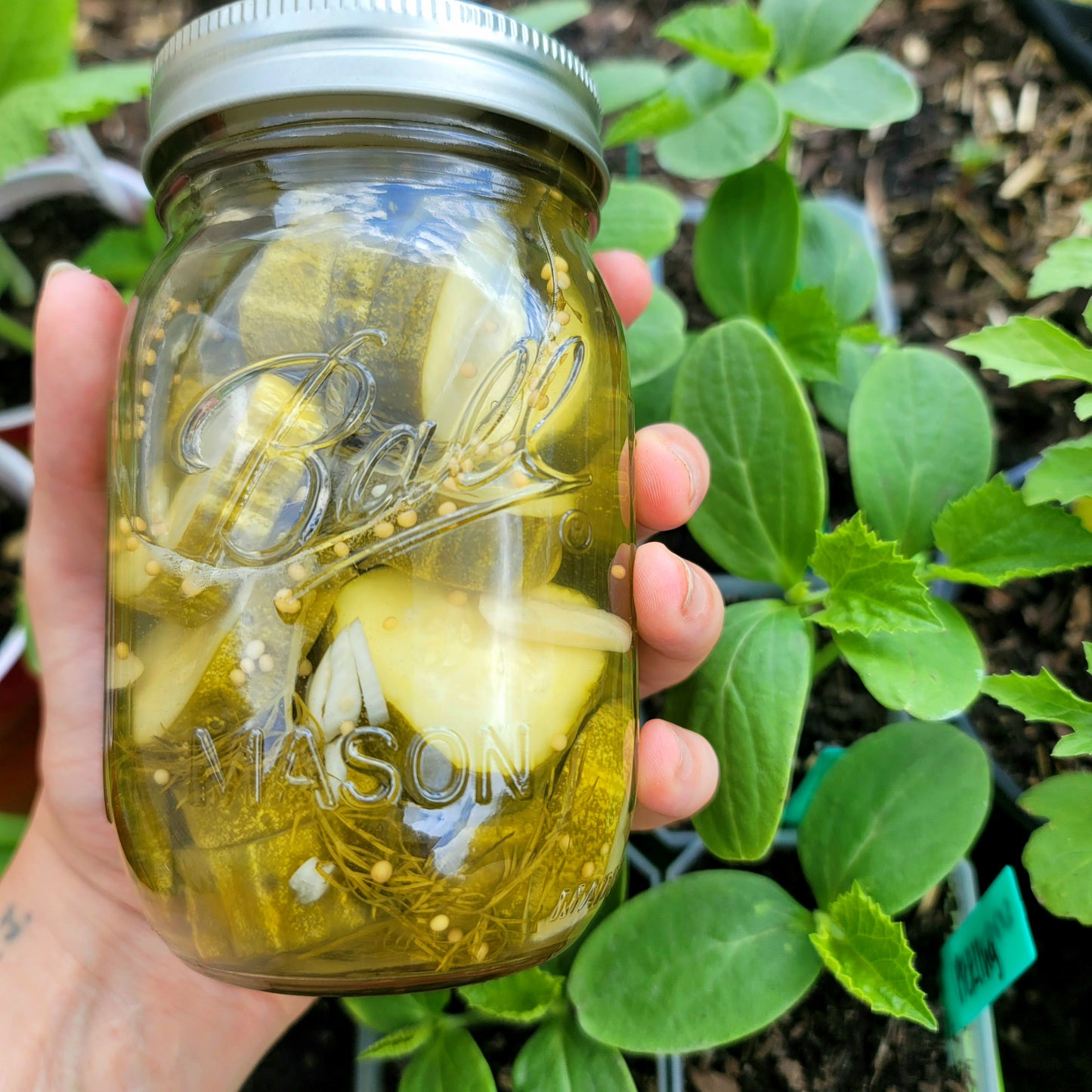 All-Natural Pickles